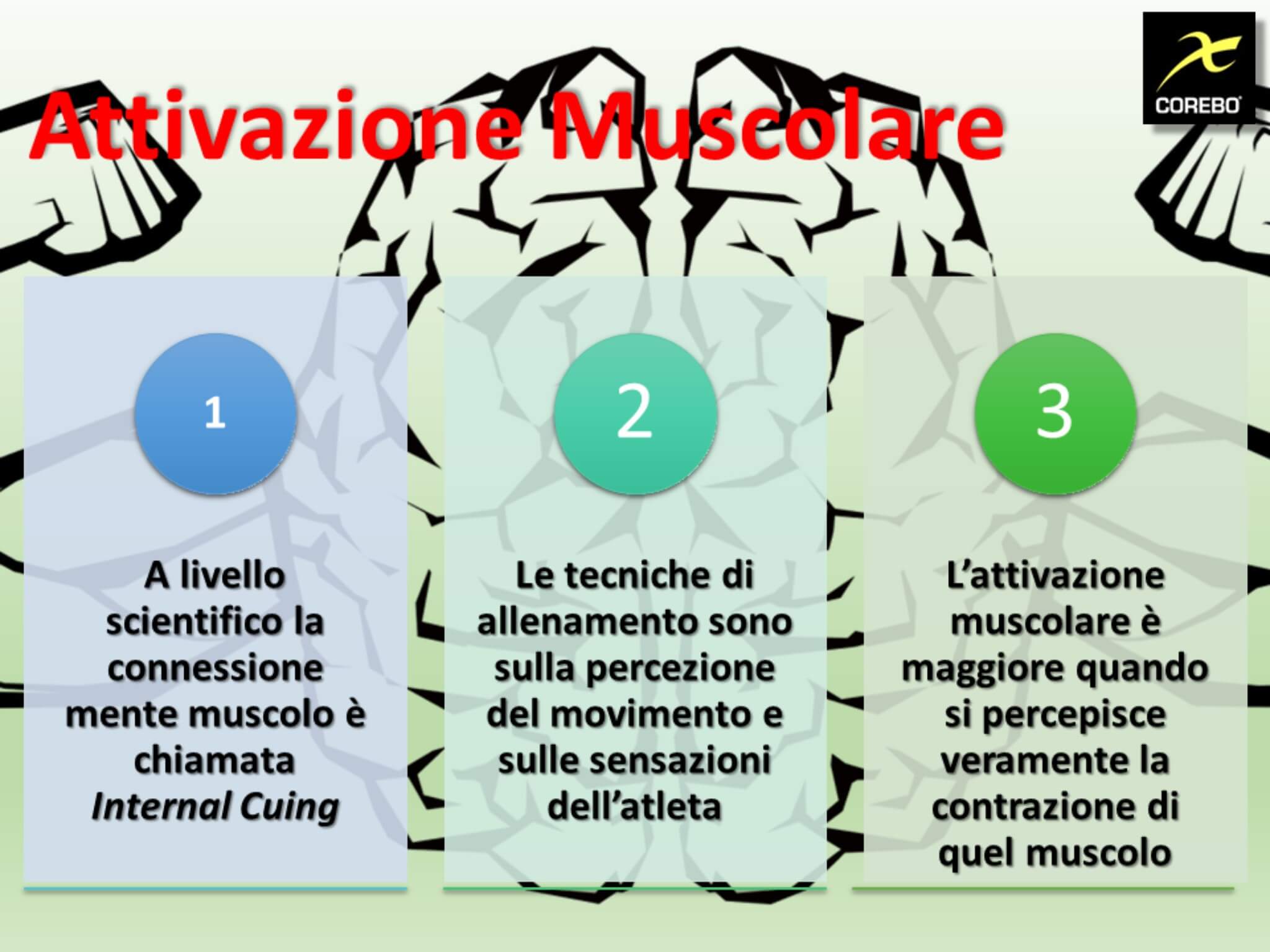 attivazione muscolare cos'è