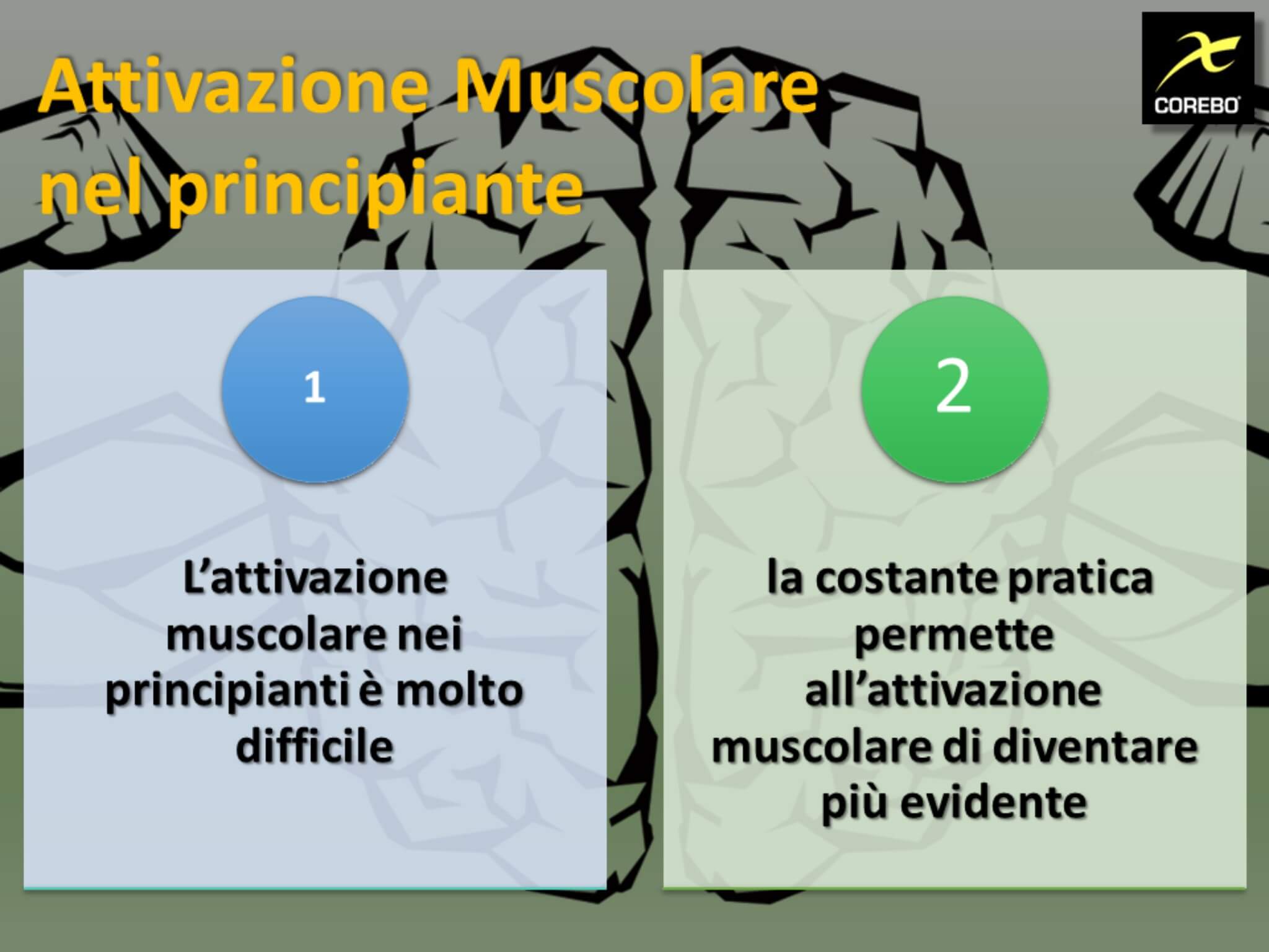 attivazione muscolare nel principiante