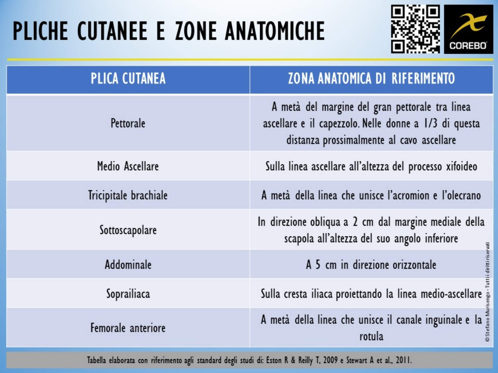 plicometria punti di repere
