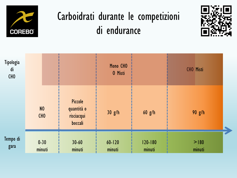 carboidrati e endurance