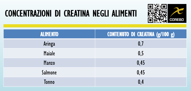 creatina negli alimenti