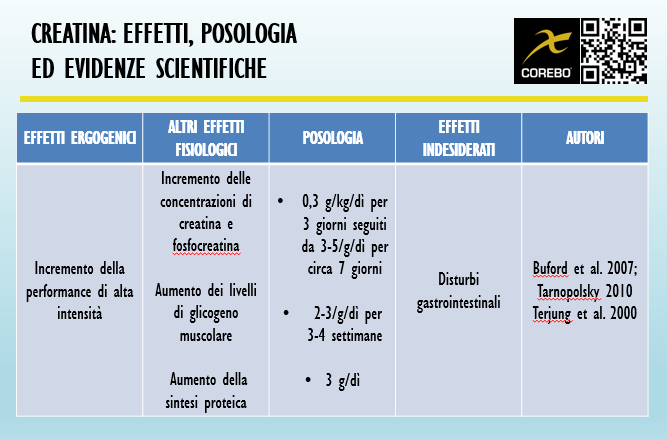 creatina posologia ed evidenze scientifiche