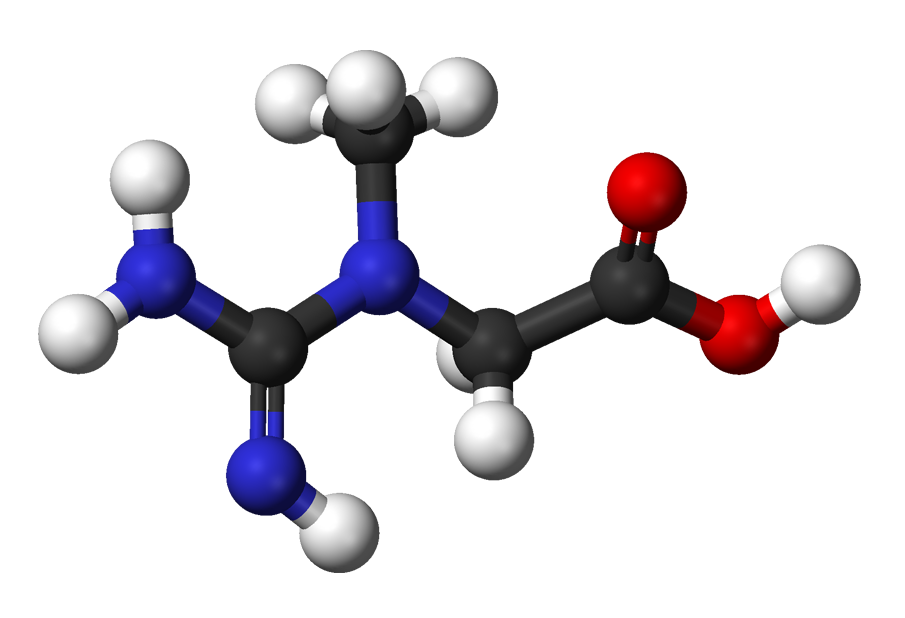 creatina creatine