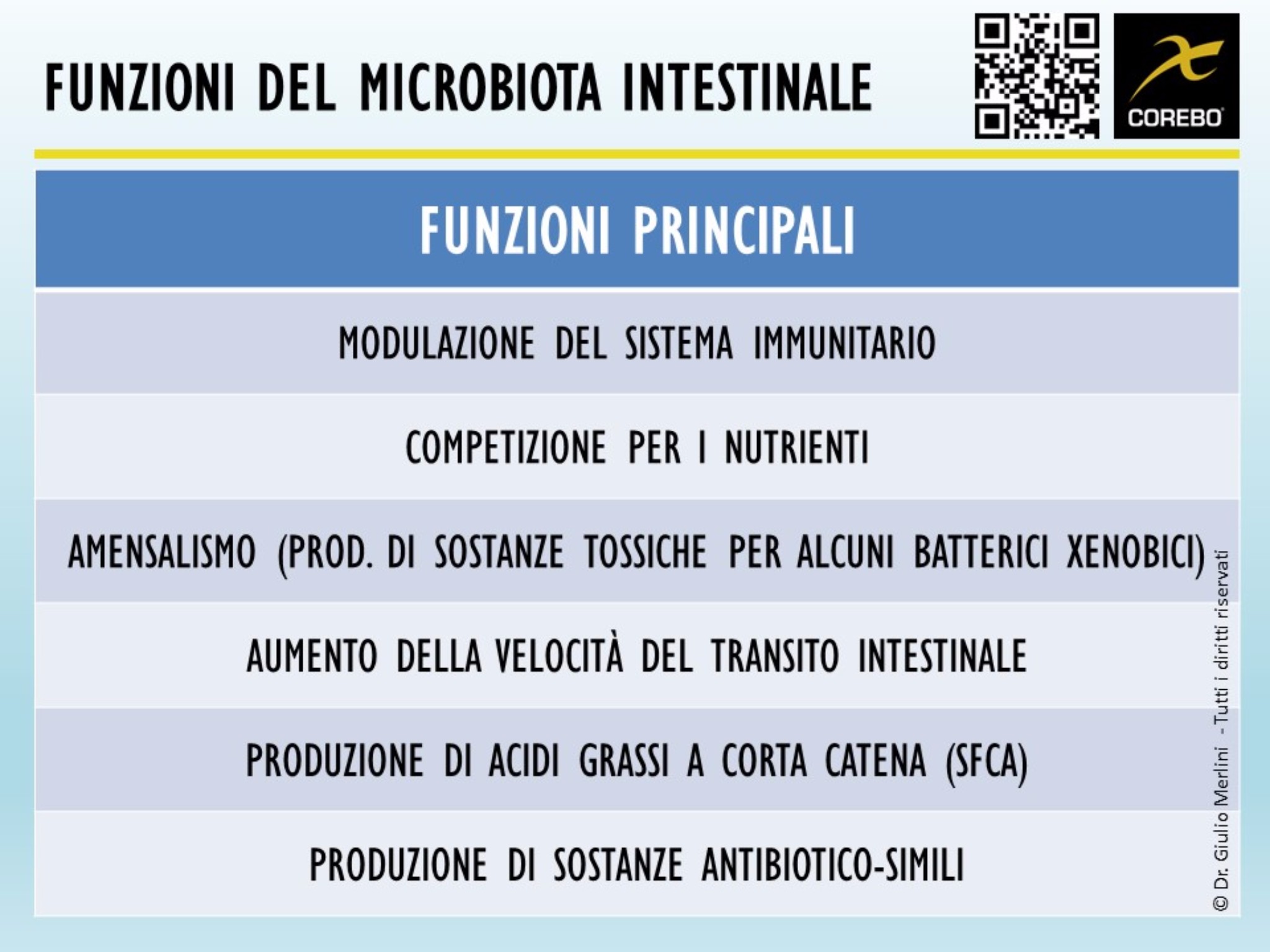 funzioni microbiota intestinale