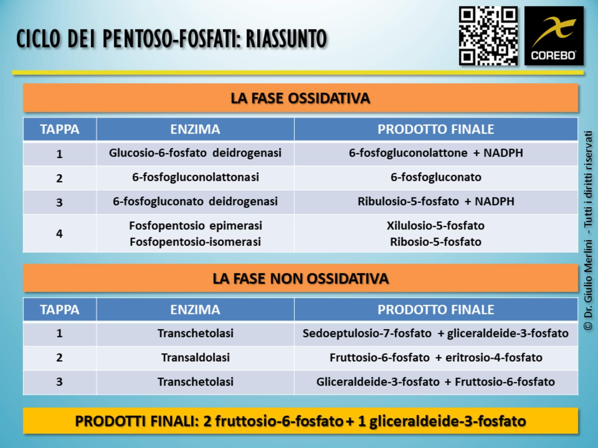 tappe via del pentoso fosfato