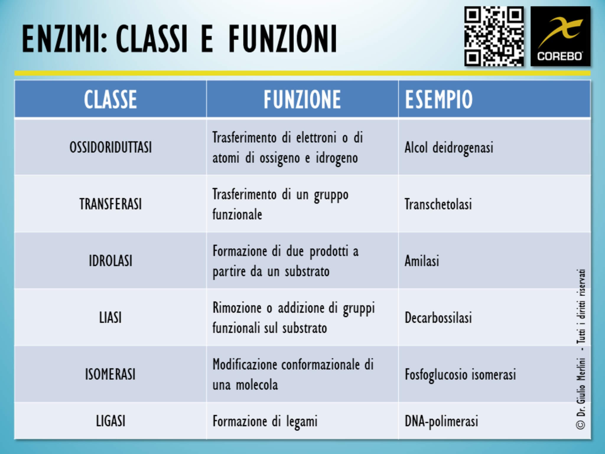 enzimi classi e funzioni