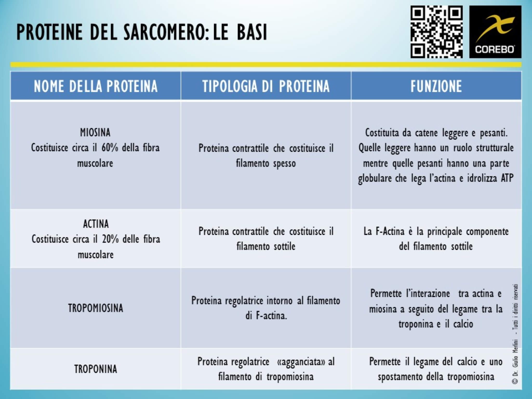 apparato locomotore e proteine del sarcomero