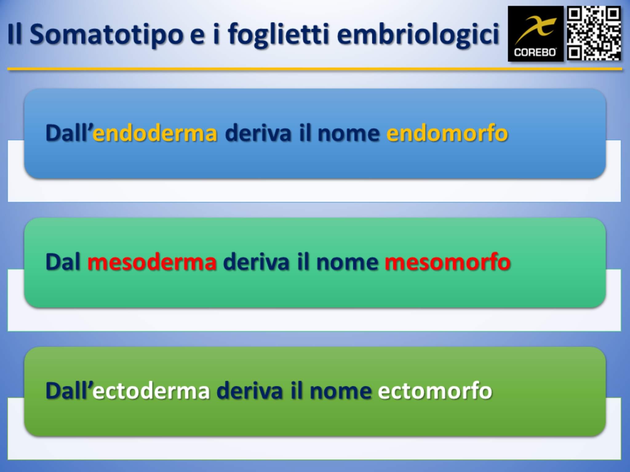 somatotipo e foglietti embriologici