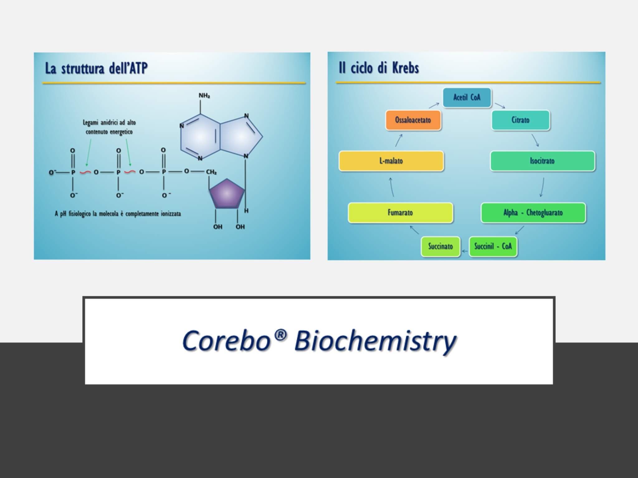 biochimica