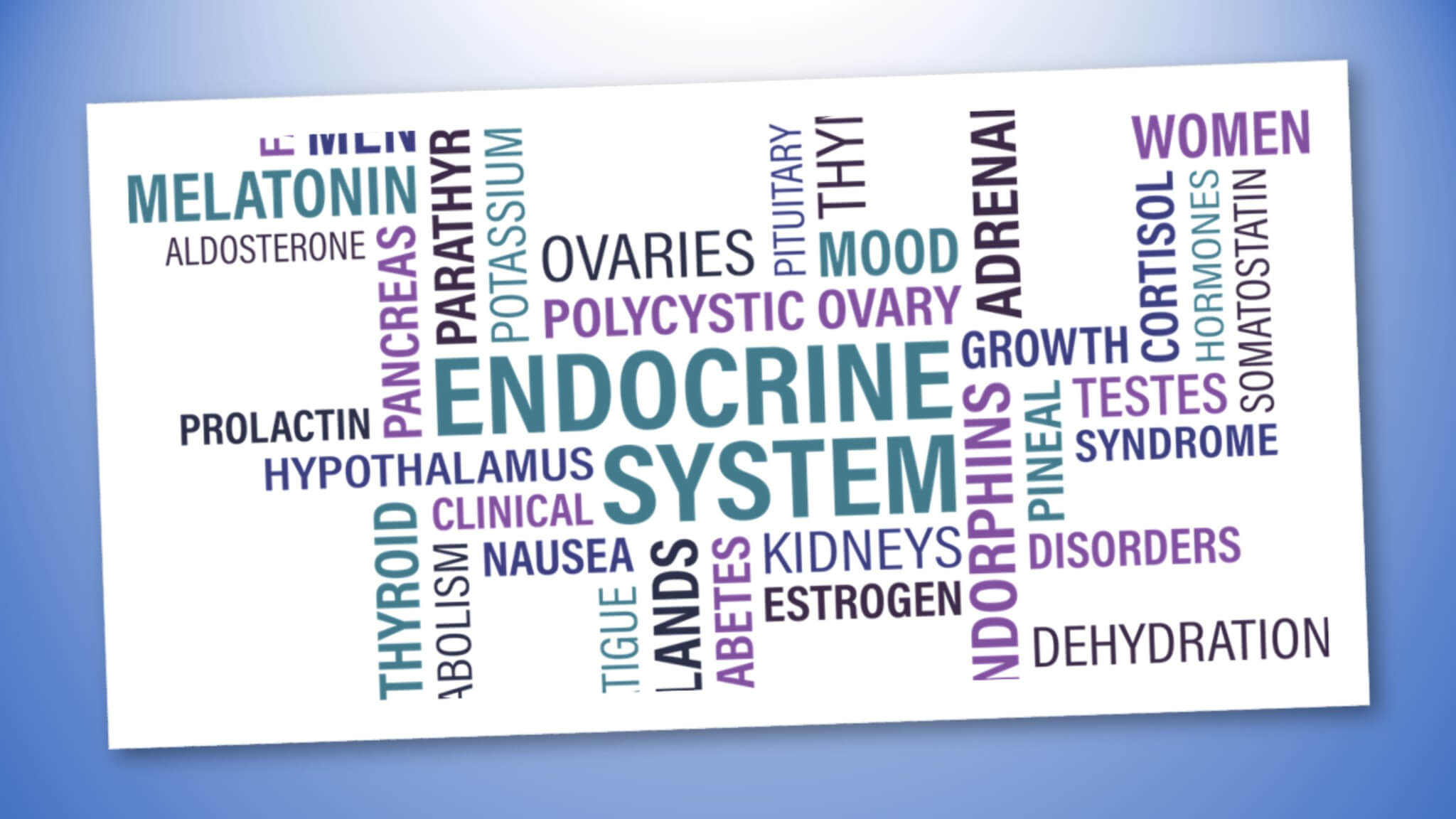 sistema endocrino