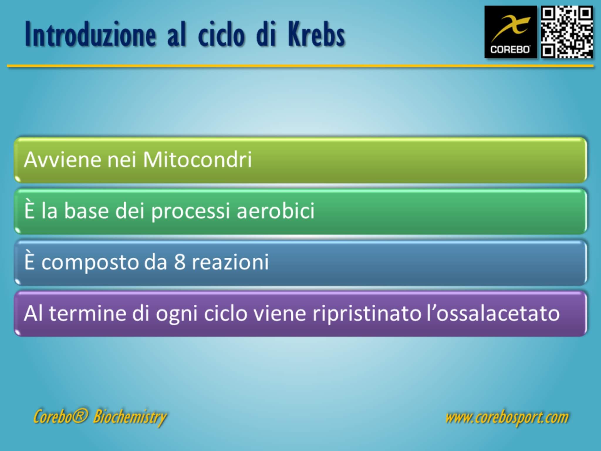 ciclo di Krebs biochimica