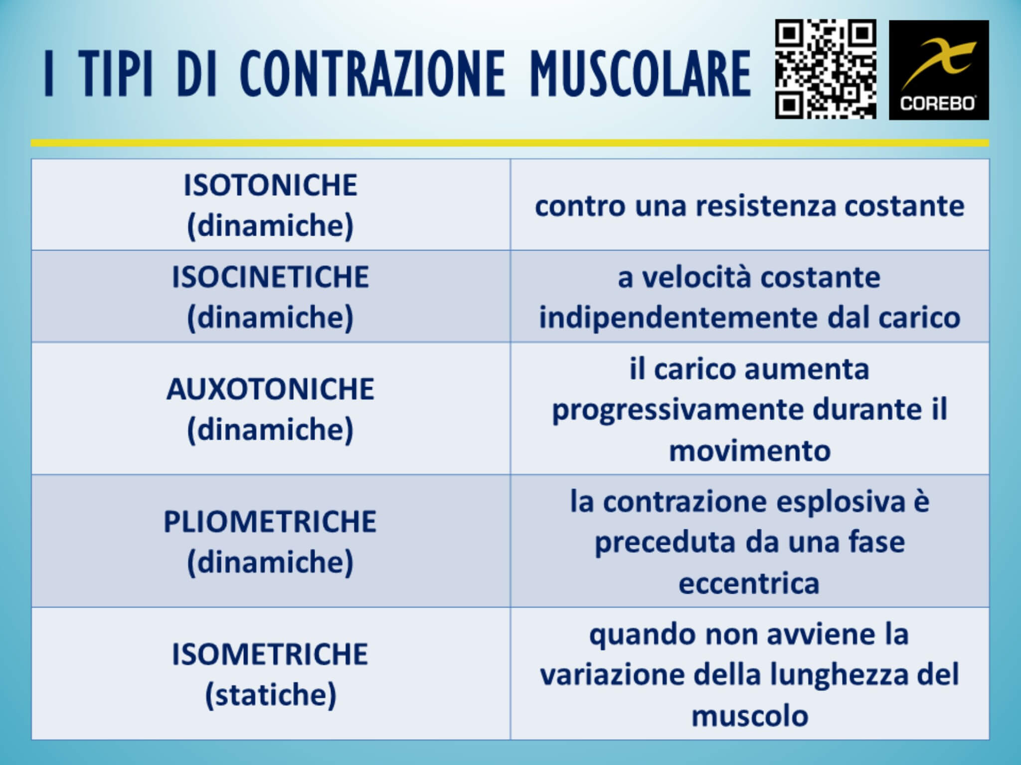 tipi di contrazione muscolare