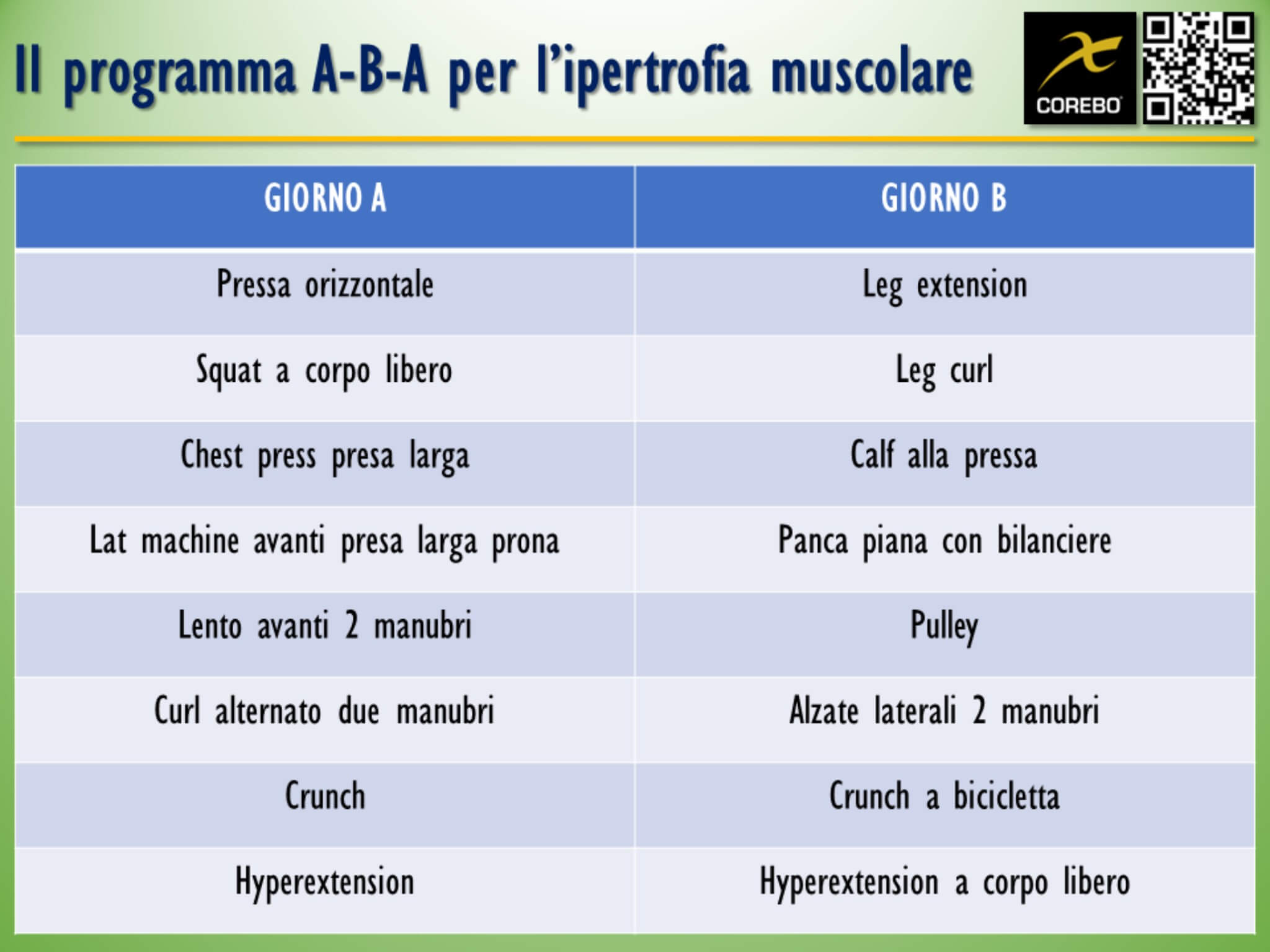 scheda palestra massa muscolare