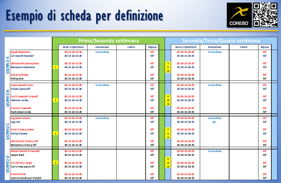 scheda allenamento palestra per la definizione muscolare