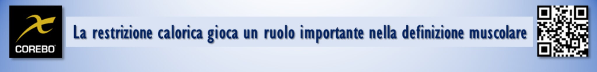 scheda allenamento palestra per la definizione muscolare