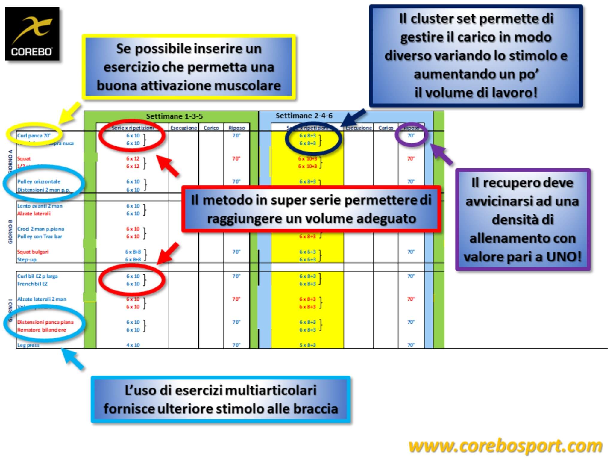 scheda allenamento braccia