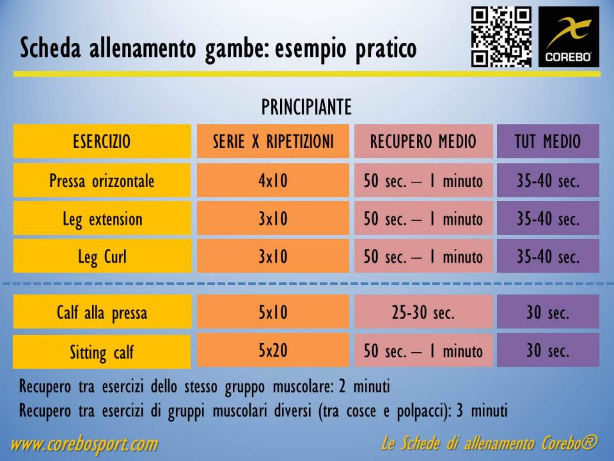 scheda allenamento gambe