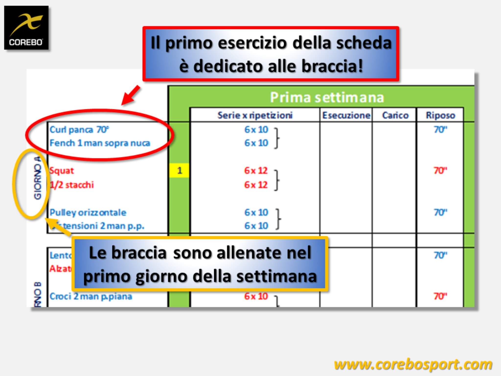 scheda allenamento braccia
