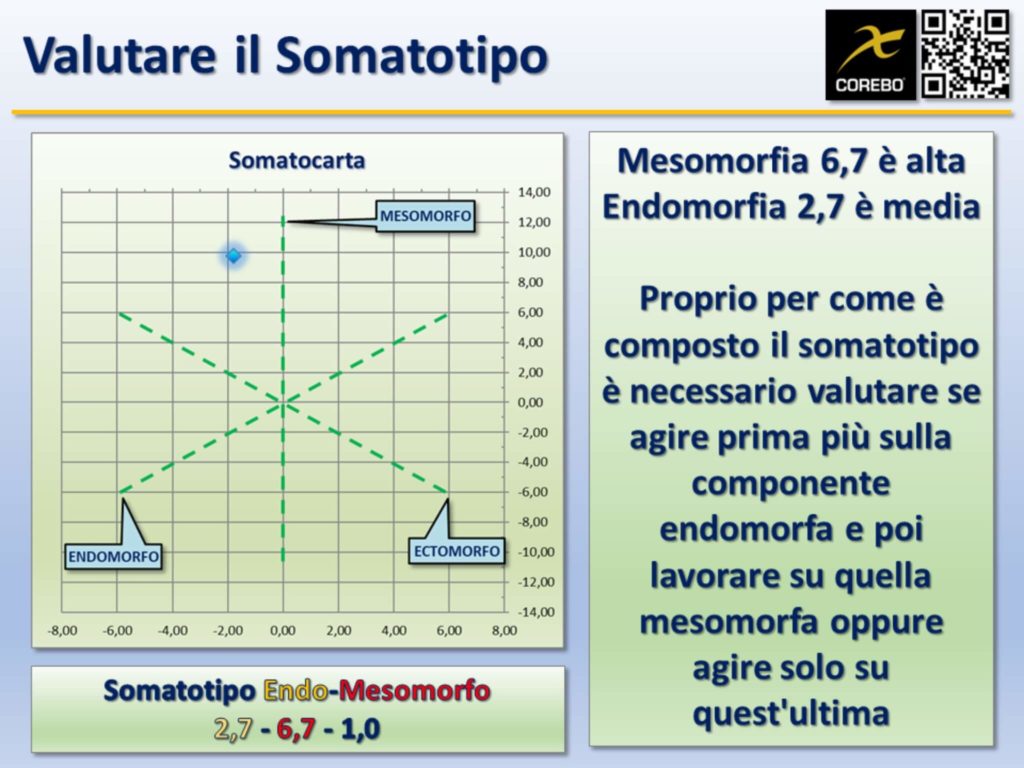 I somatotipi