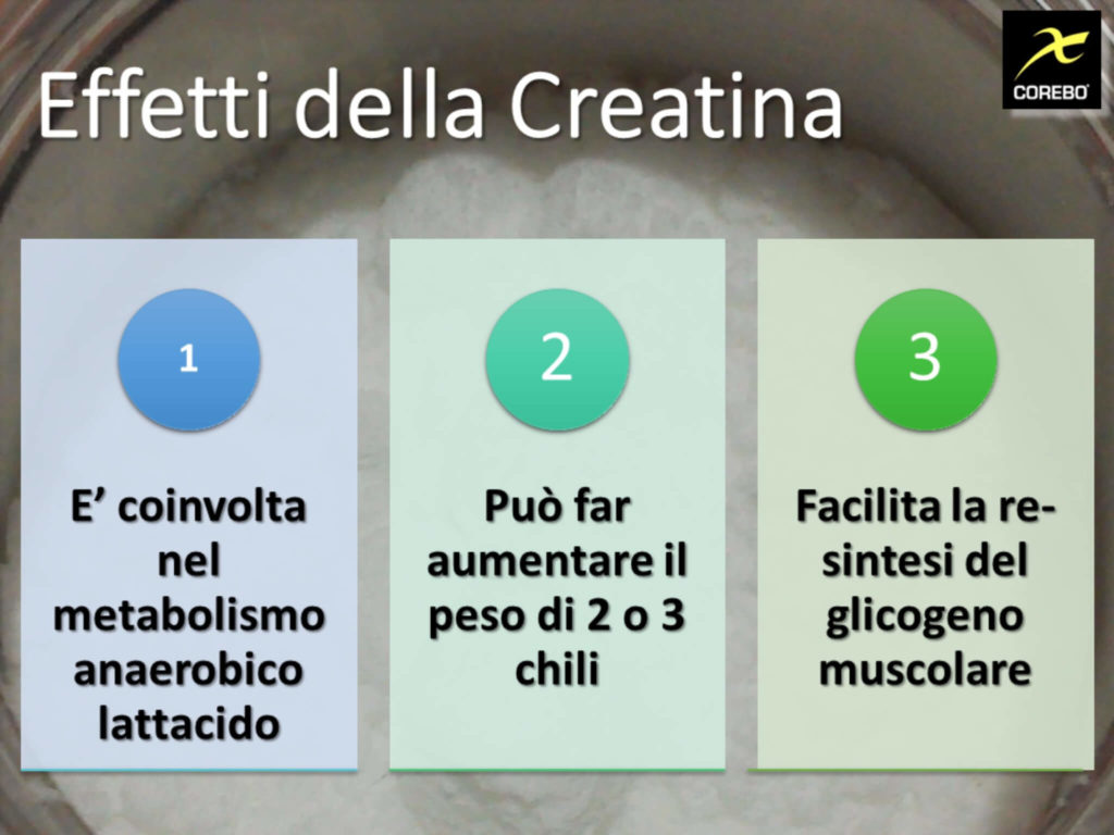 creatina a cosa serve