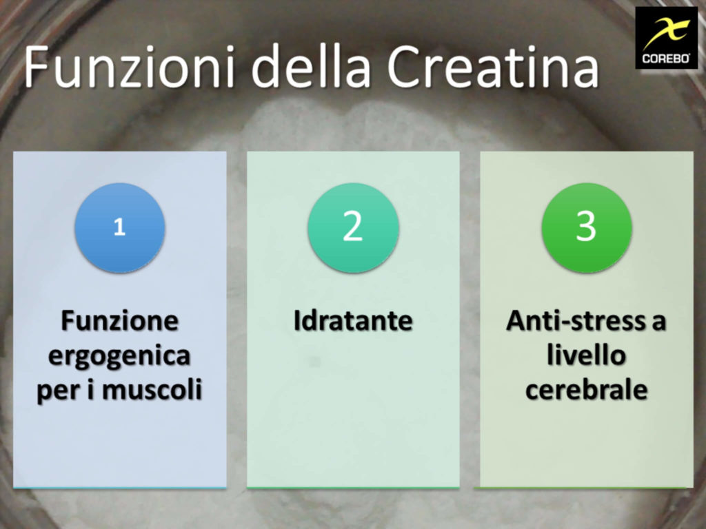 creatina a cosa serve