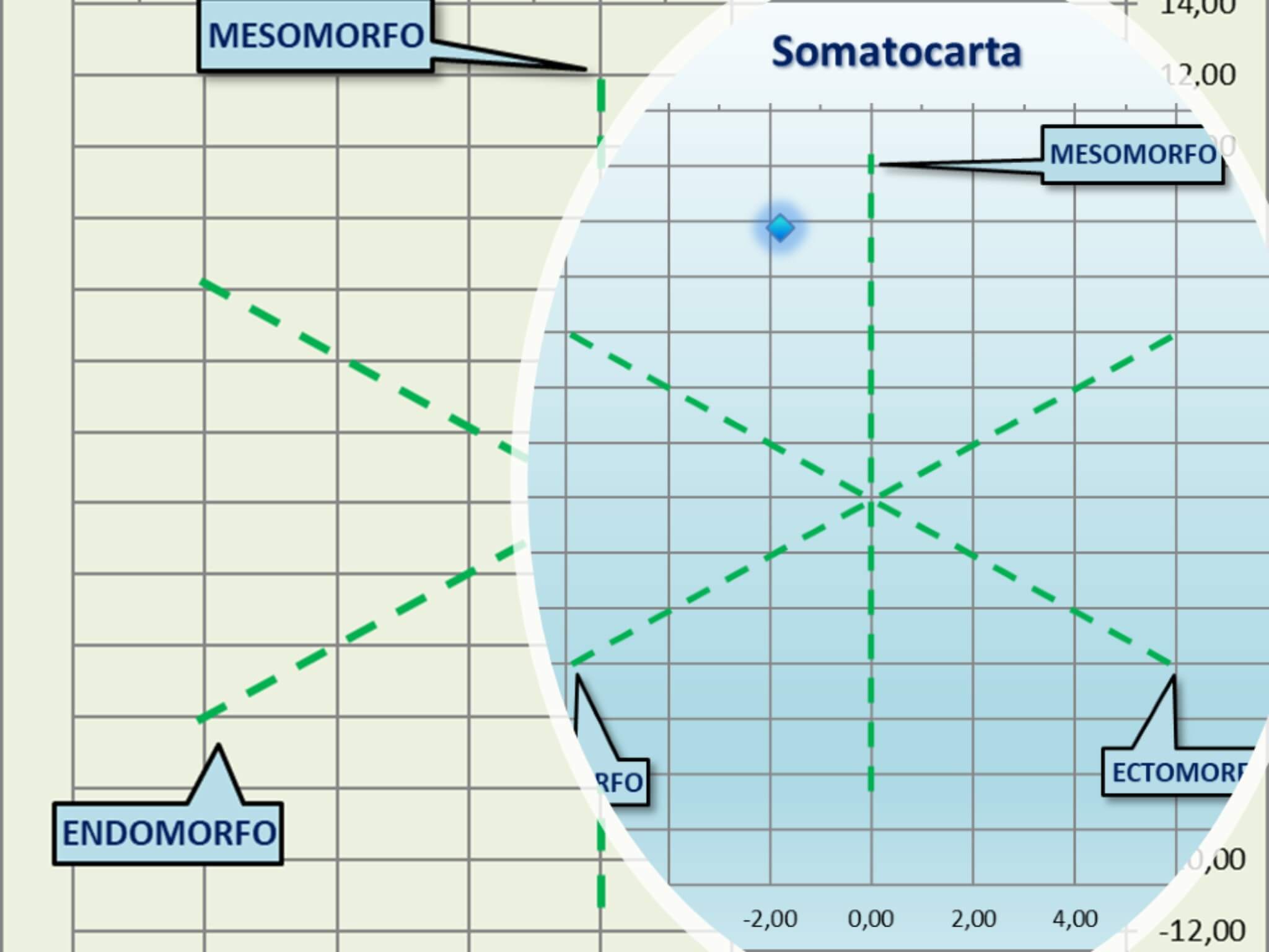 I somatotipi