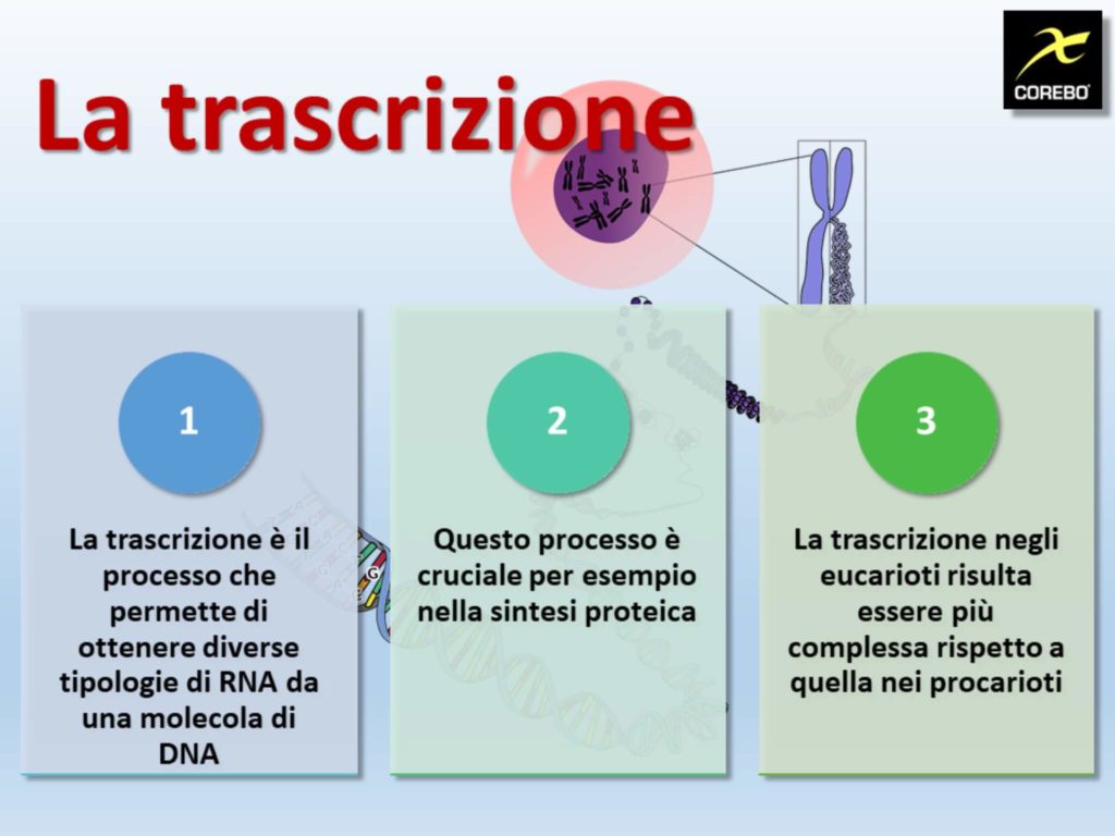 trascrizione