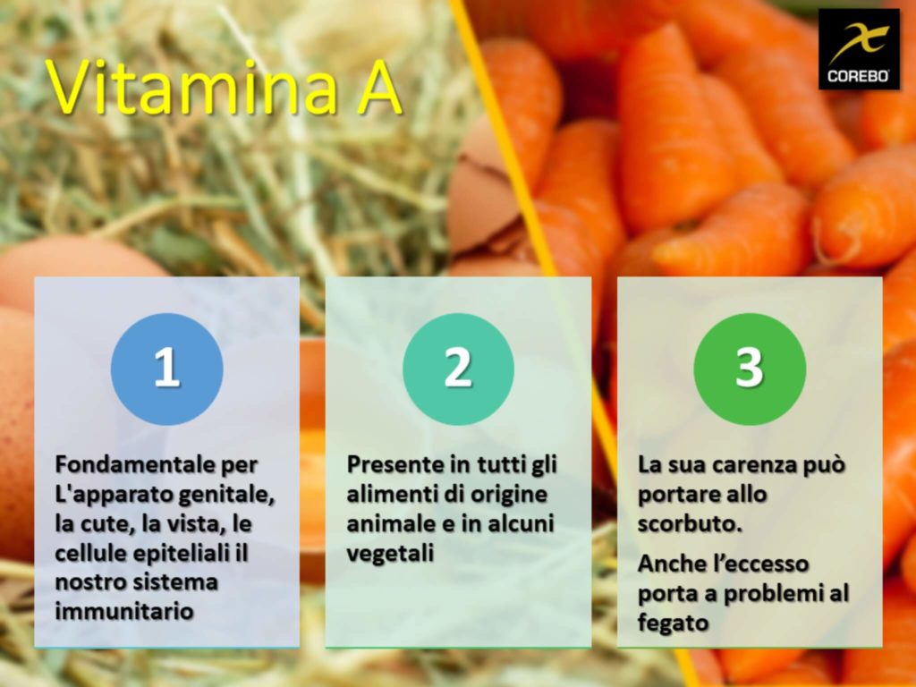 vitamine e alimentazione