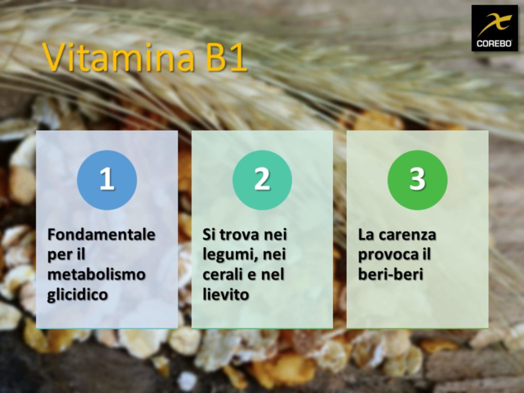 vitamine e alimentazione