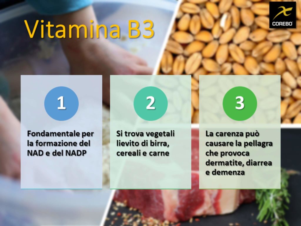 vitamine e alimentazione