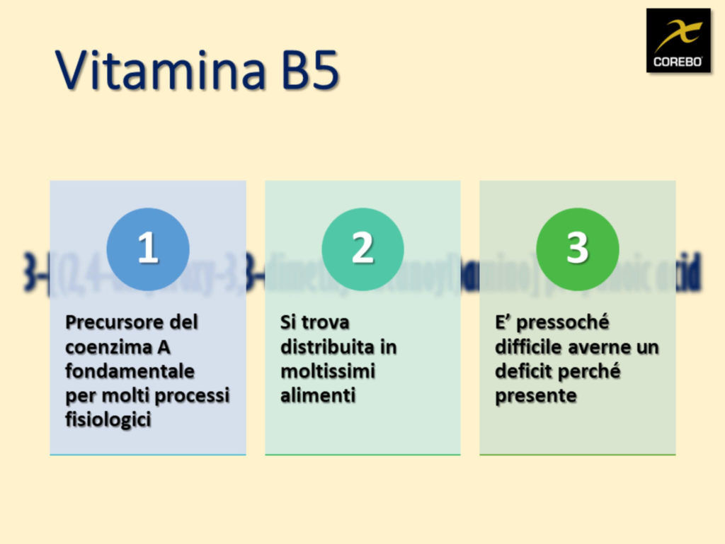 vitamine e alimentazione