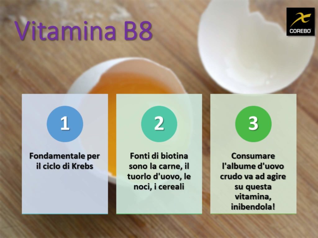 vitamine e alimentazione