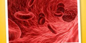 Il sangue: funzioni e composizione del volume ematico
