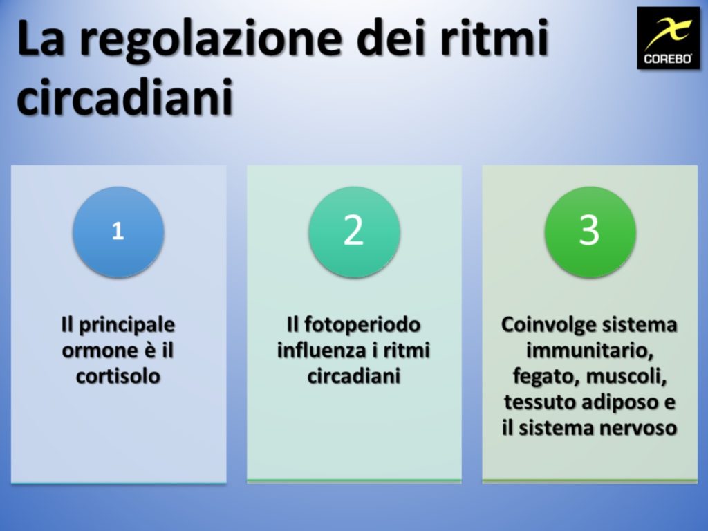 ipotalamo e le funzioni vitali