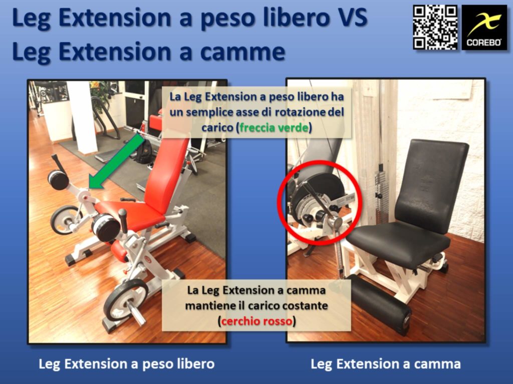 leg extension