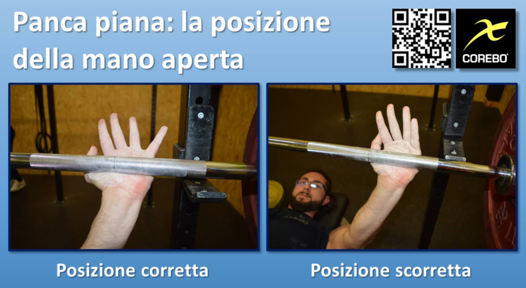 scheda esercizi panca piana pdf