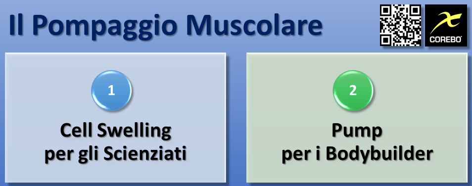 Cell swelling