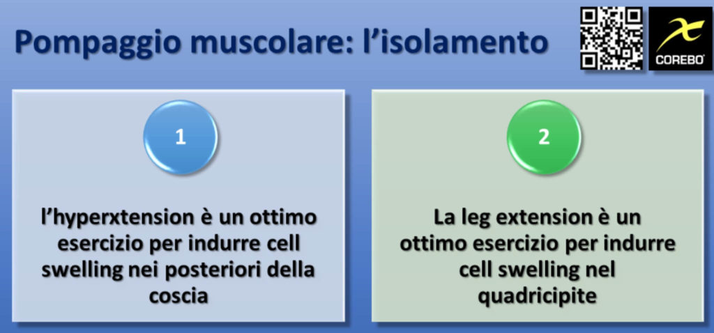 Gli esercizi di isolamenti utili al pompaggio muscolare