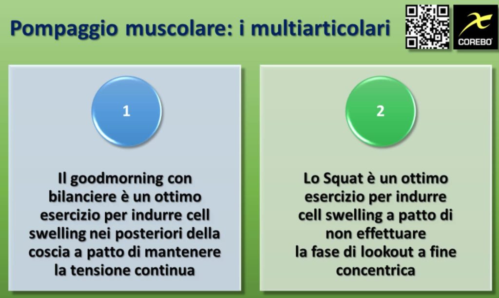 Gli esercizi multiarticolari per il pump muscolare