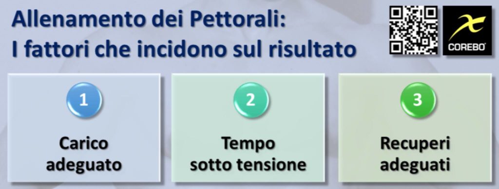 allenamento dei pettorali fattori che incidono