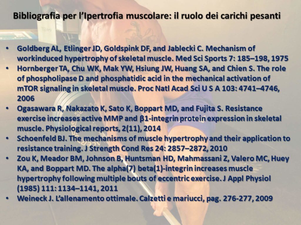 ipertrofia muscolare bibliografia