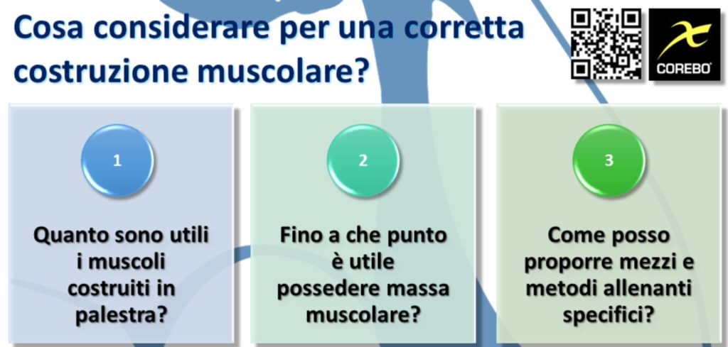 quanto contano i muscoli nello sport costruzione muscolare