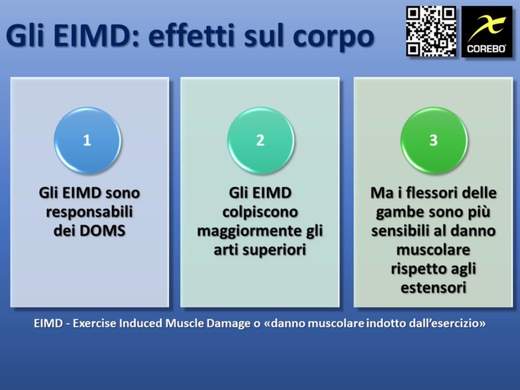 Ipertrofia muscolare e danno muscolare EIMD