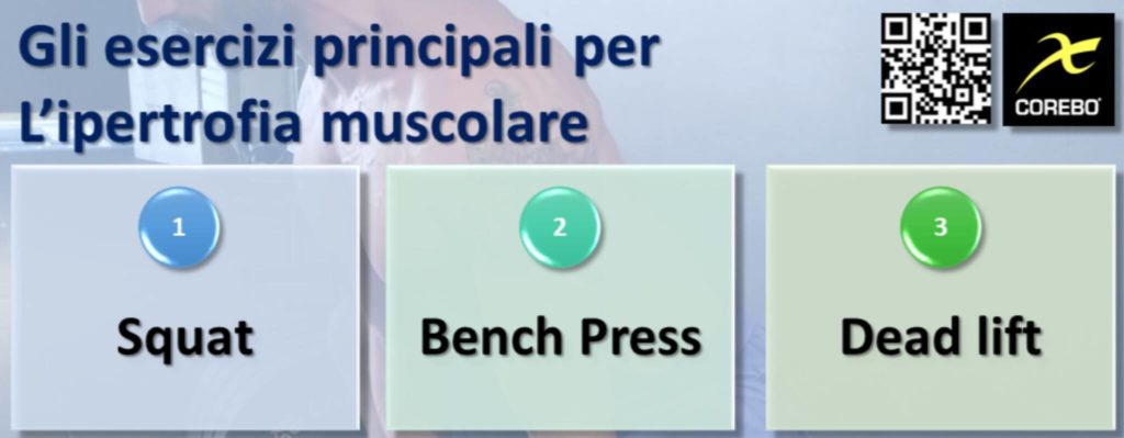 ipertrofia muscolare ed esercizi fondamentali