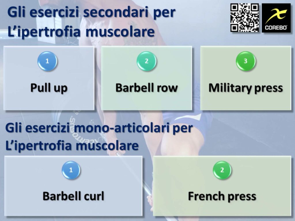 ipertrofia muscolare ed esercizi complementari