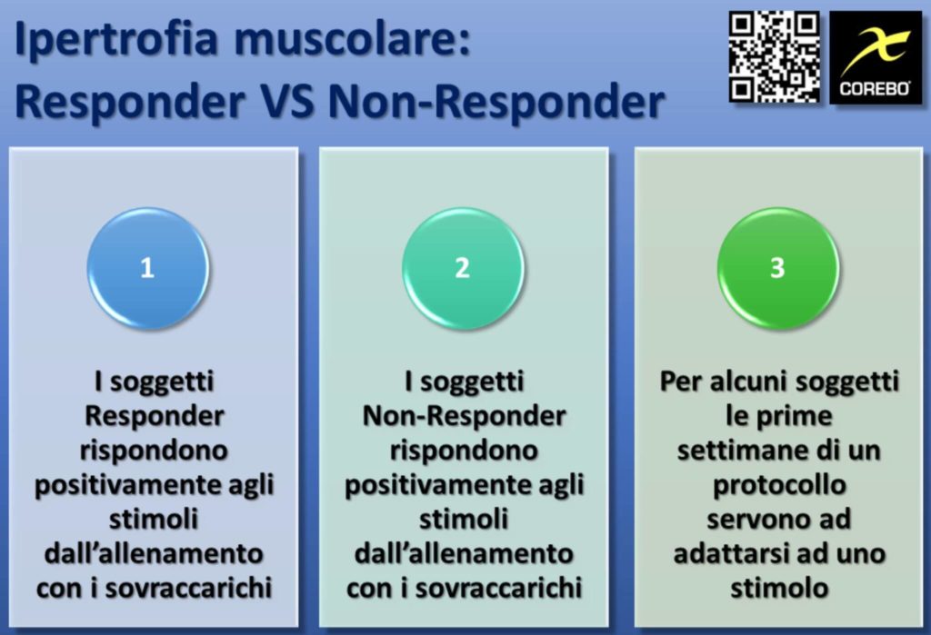 Ipertrofia Muscolare e Genetica responder e non-responder