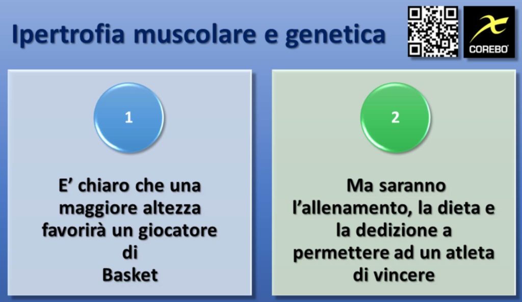 Ipertrofia Muscolare e Genetica