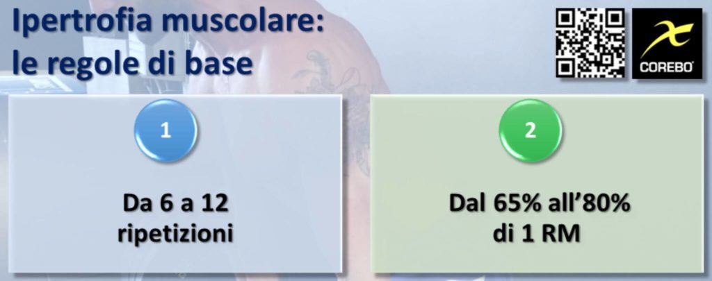 Ipertrofia muscolare: il ruolo dei carichi pesanti