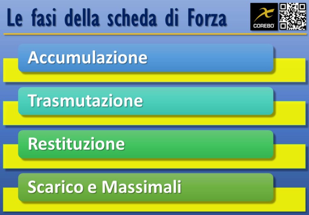 Scheda Palestra Forza le fasi della programmazione