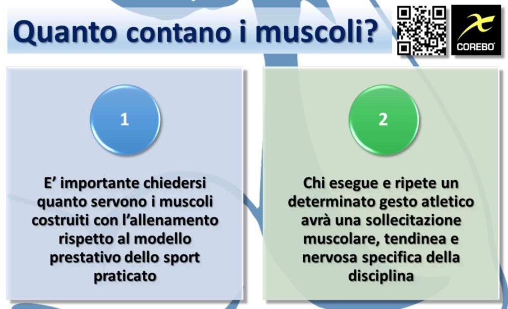 quanto contano i muscoli nello sport